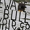 15/12/06 - Beware of bull