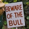 23/09/10 - Beware of the bull